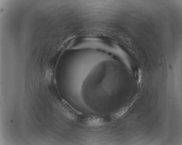 X0000083570235200702091101