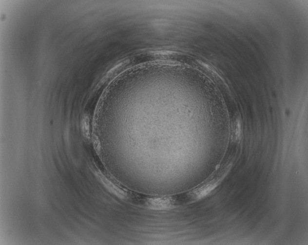 X0000083570238200702091101