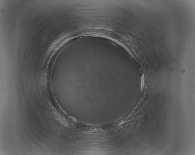 X0000083570243200702091100
