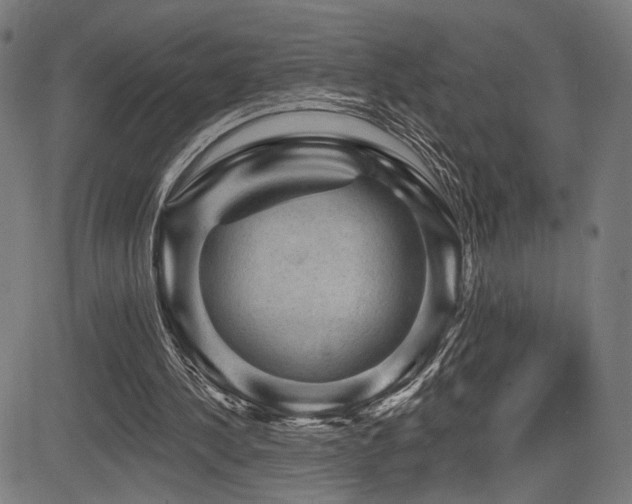 X0000083570244200702091100