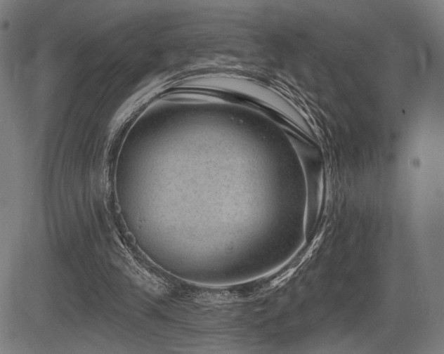 X0000083570245200702091100