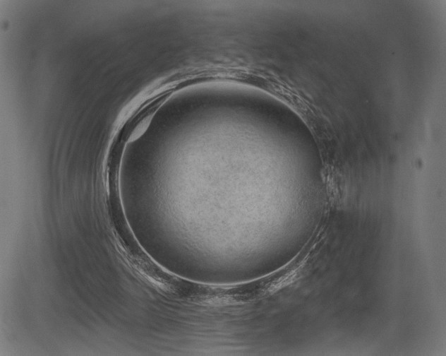 X0000083570246200702091100