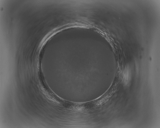 X0000083570247200702091100