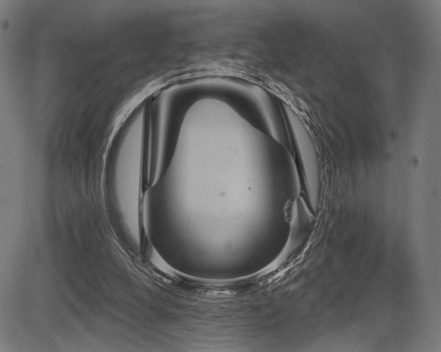 X0000083570248200702091100