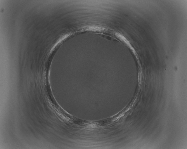 X0000083570249200702091100
