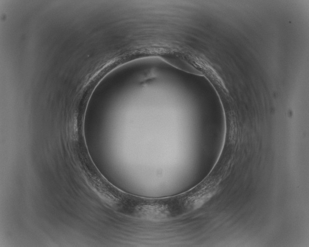 X0000083570251200702091100