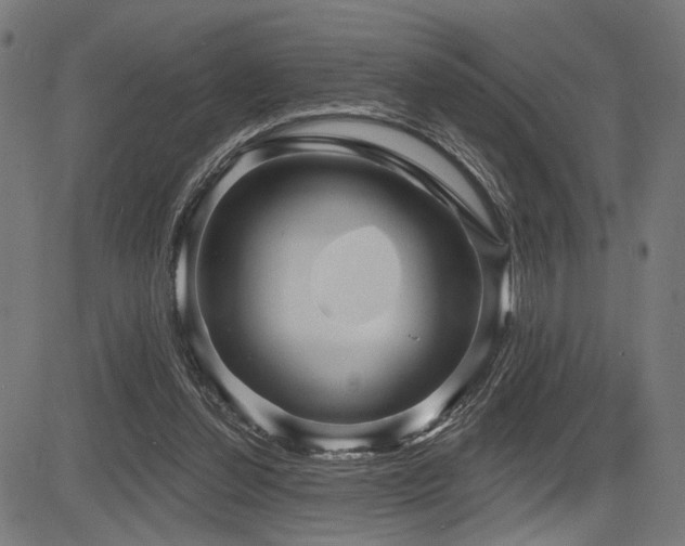 X0000083570252200702091100