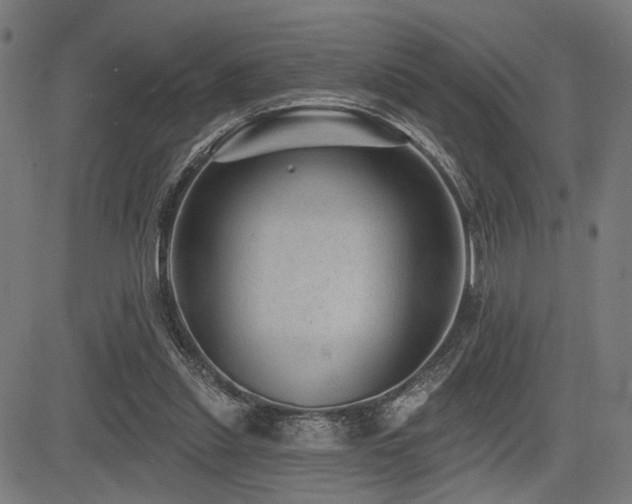 X0000083570253200702091100