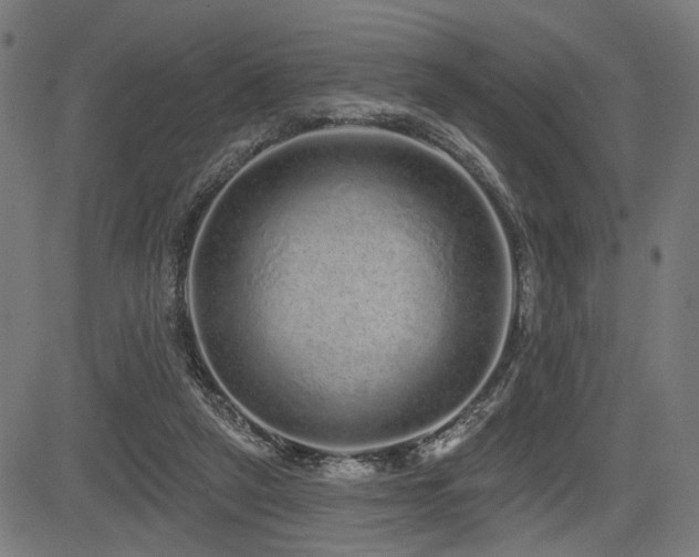 X0000083570257200702091101