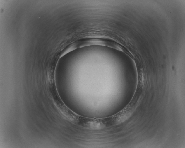 X0000083570272200702091101