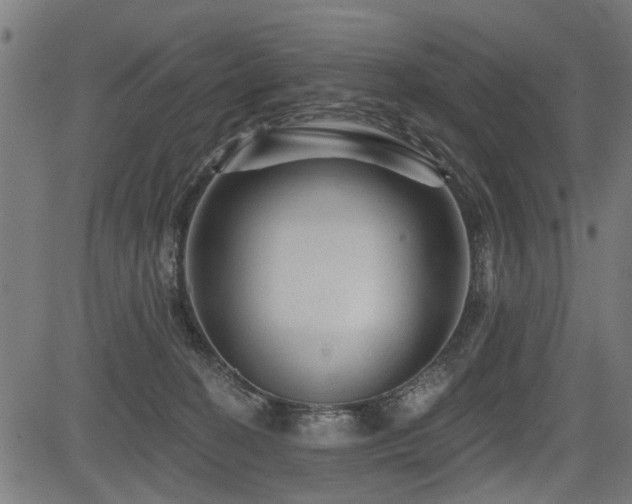X0000083570274200702091101