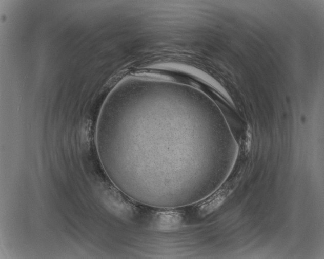 X0000083570275200702091101
