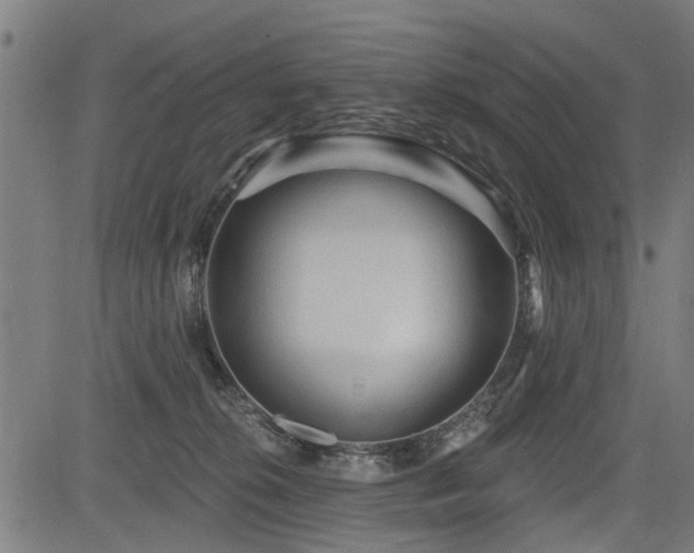 X0000083570276200702091101