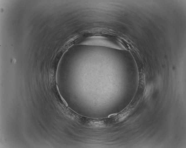 X0000083570283200702091101