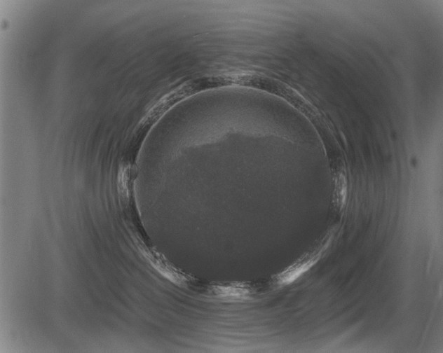X0000083570286200702091101