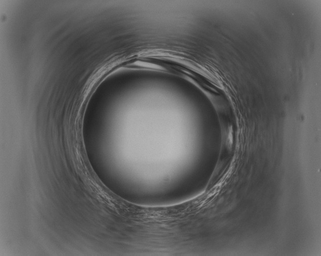 X0000083570289200702091100