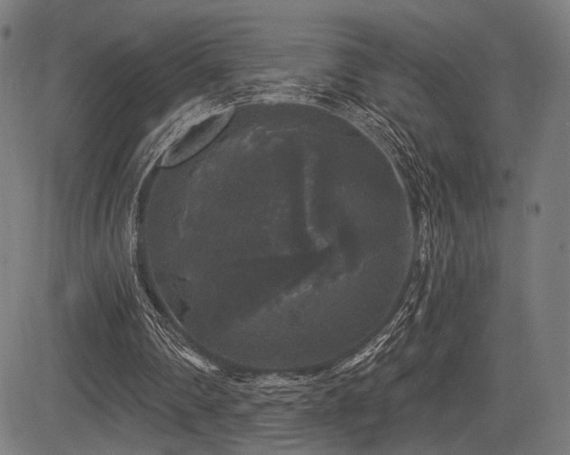 X0000083570290200702091100