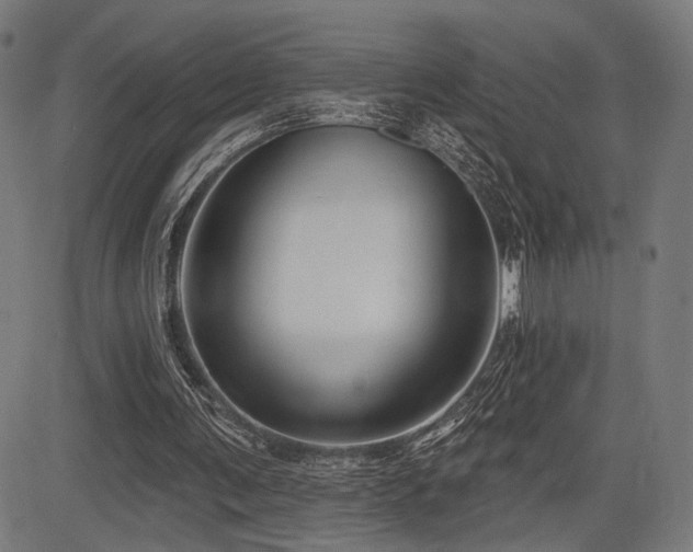 X0000083570291200702091100