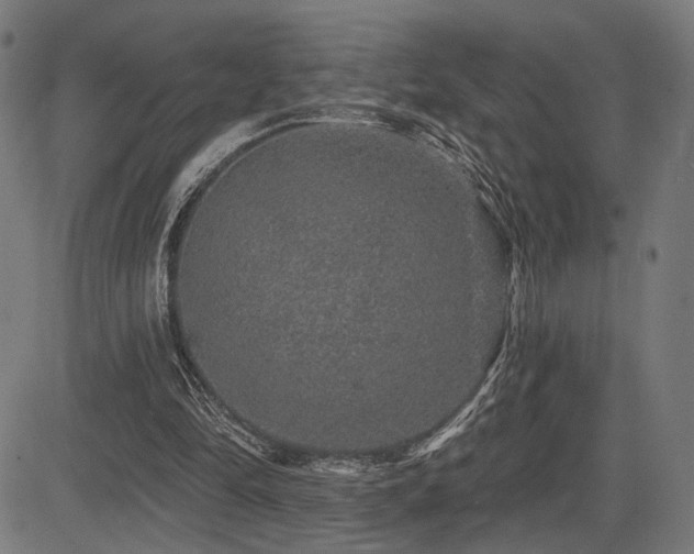 X0000083570294200702091100