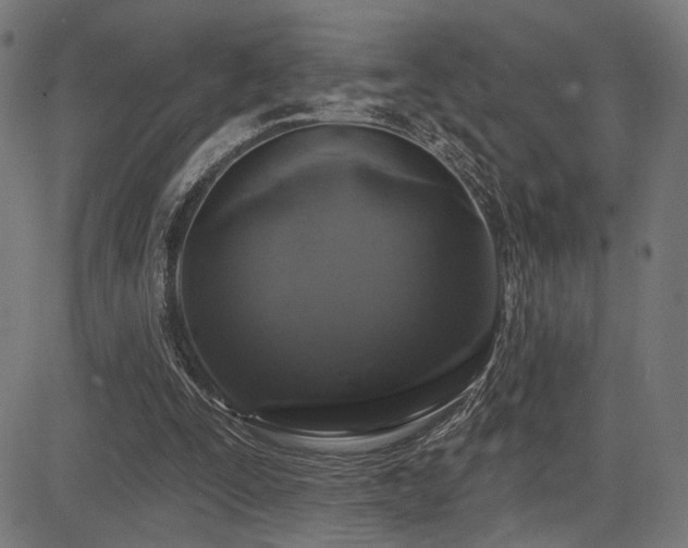X0000083570295200702091100