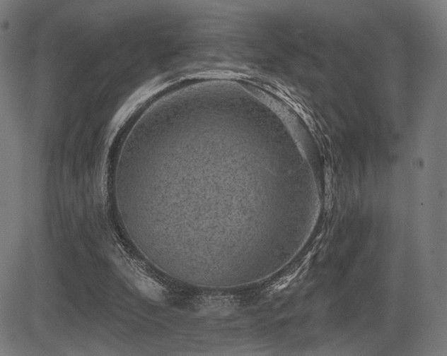 X0000083570296200702091100