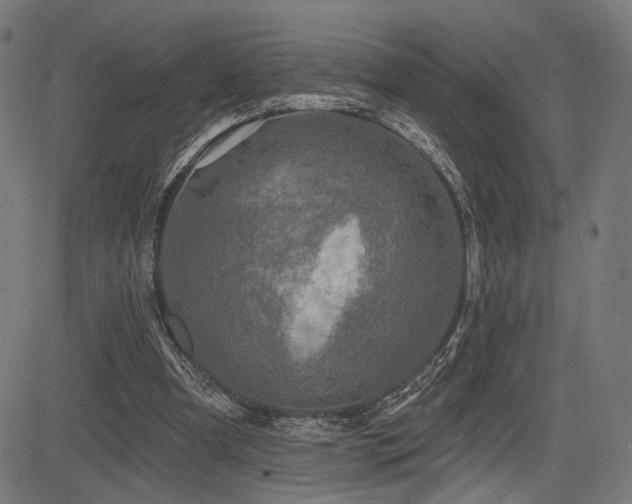 X0000083570297200702091100