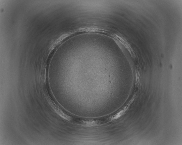 X0000083570301200702091100