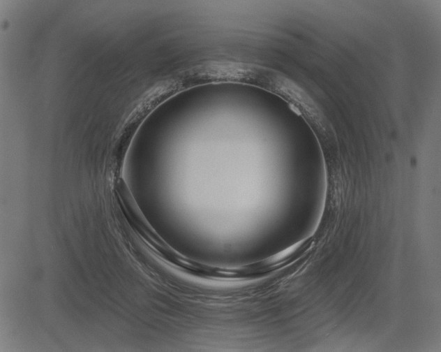 X0000083570309200702091100