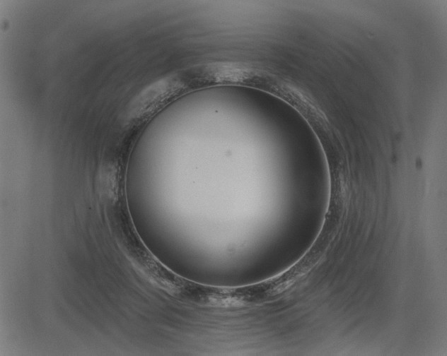 X0000083570311200702091100