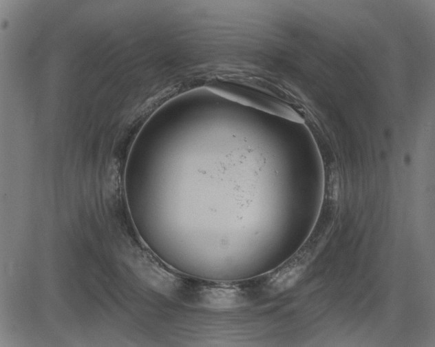 X0000083570318200702091100