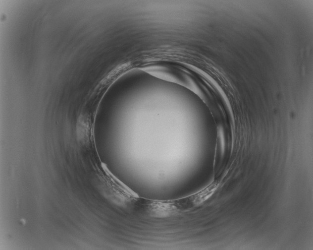 X0000083570333200702091100
