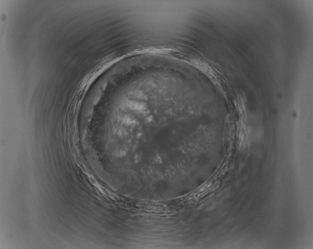 X0000083570337200702091059