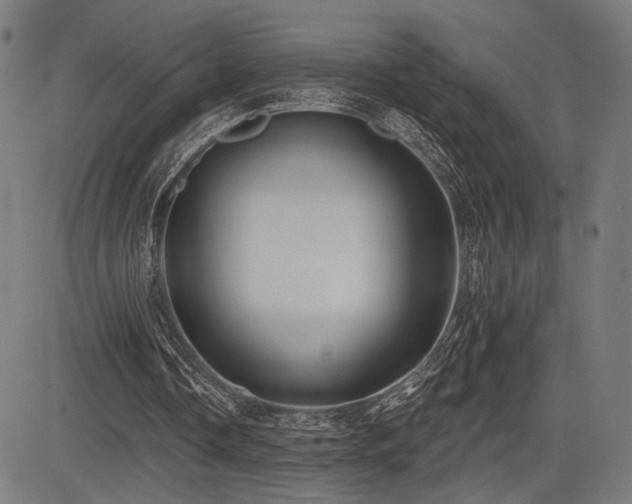 X0000083570338200702091059