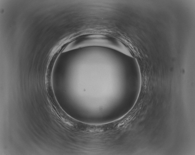 X0000083570340200702091059