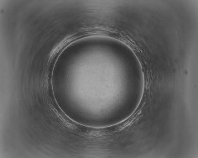 X0000083570341200702091059