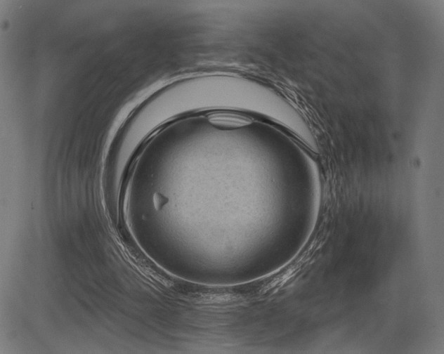 X0000083570342200702091059