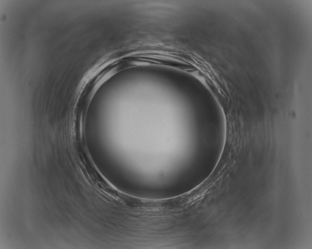 X0000083570344200702091059