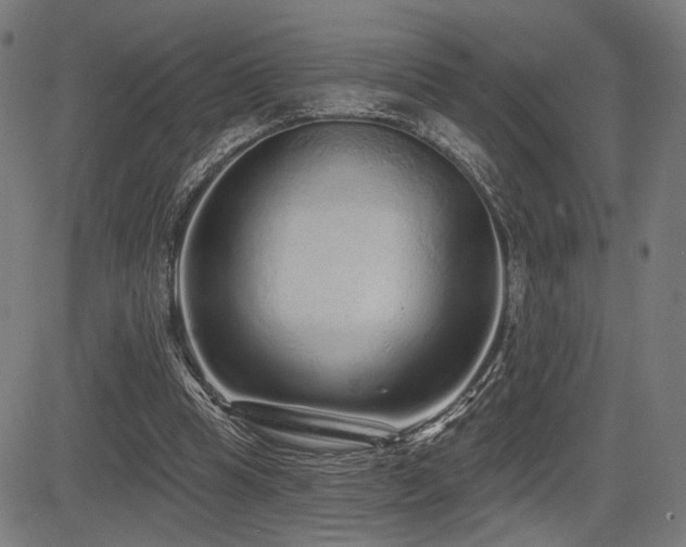X0000083570345200702091059