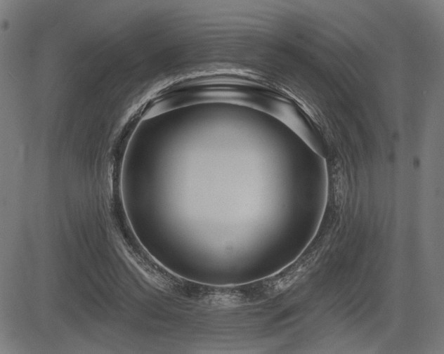 X0000083570350200702091059