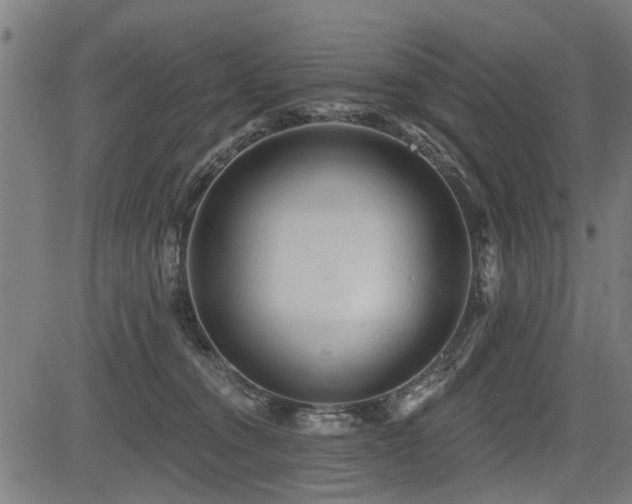 X0000083570372200702091059