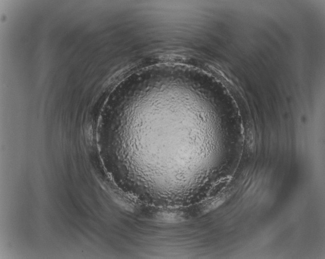 X0000083570375200702091059