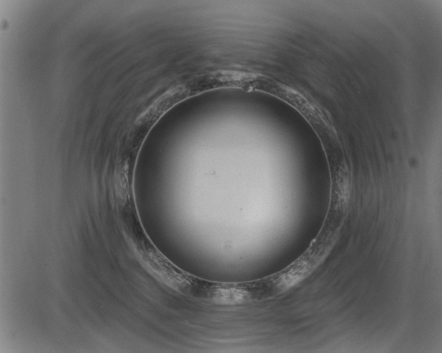 X0000083570376200702091059