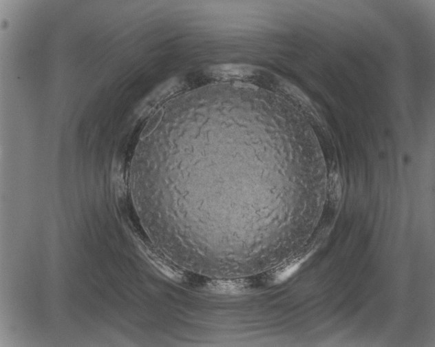 X0000083570381200702091059