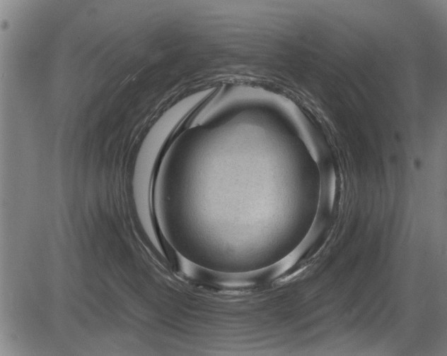 X0000083570382200702091059