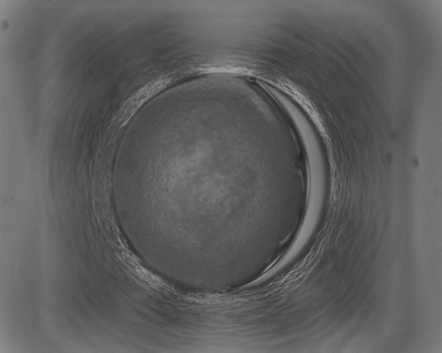 X0000083570385200702091059