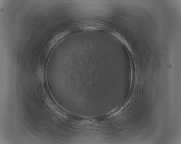 X0000083570386200702091059