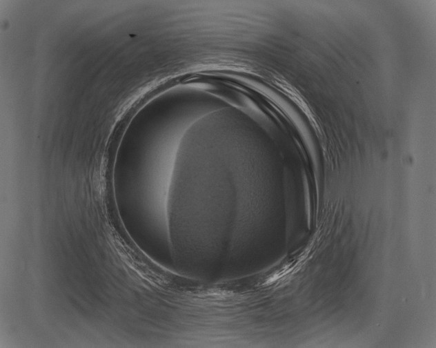 X0000083570387200702091059