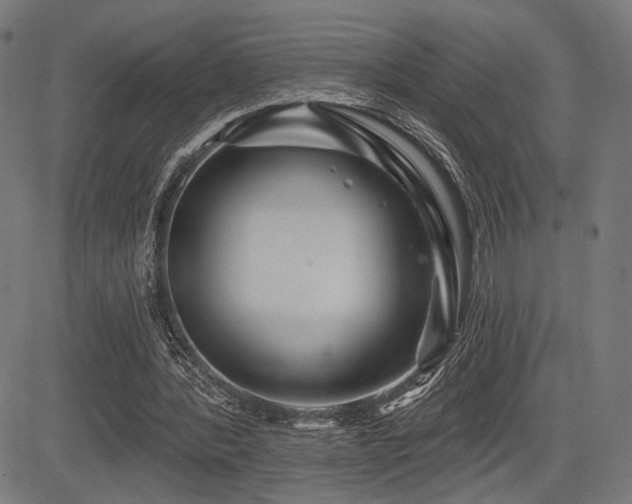 X0000083570388200702091059