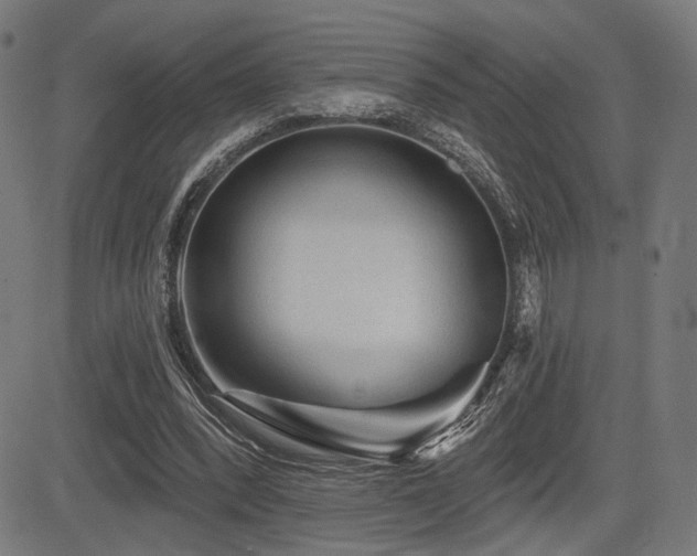 X0000083570392200702091059