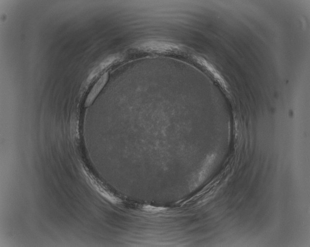 X0000083570399200702091058